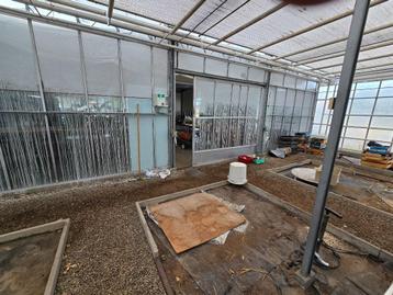 Hele grote serre 300m² beschikbaar voor biedingen