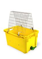 Ontzegelbak, Dieren en Toebehoren, Insecten en Spinnen, Bijen