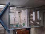Vogelkooi te koop, Dieren en Toebehoren, Vogels | Hokken en Kooien, Ophalen, Zo goed als nieuw, Overige materialen, Vogelkooi