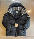 Burberry donsjack, Zwart, Nieuw, Ophalen of Verzenden, Burberry