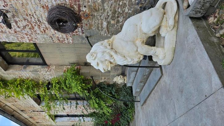 ️Levensgrote Leeuwen Beelden Te Koop Uniek ️, Tuin en Terras, Tuinbeelden, Zo goed als nieuw, Ophalen