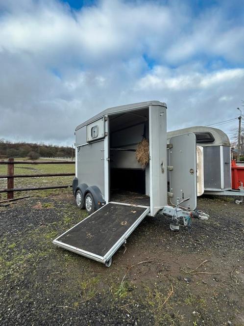 Location de van 40€ /jours, Dieren en Toebehoren, Paarden en Pony's | Trailers en Aanhangwagens, Zo goed als nieuw, 1½-paards trailer