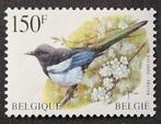 België: OBP 2697 ** Vogels 1997., Frankeerzegel, Ophalen of Verzenden, Zonder stempel, Postfris