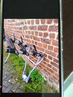 Porte Velo Thule HangOn, Auto diversen, Fietsendragers, Ophalen, 3 fietsen of meer, Gebruikt, Brede banden