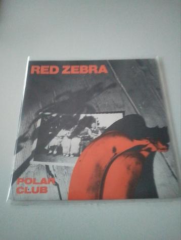 Red Zebra - Polar club  beschikbaar voor biedingen