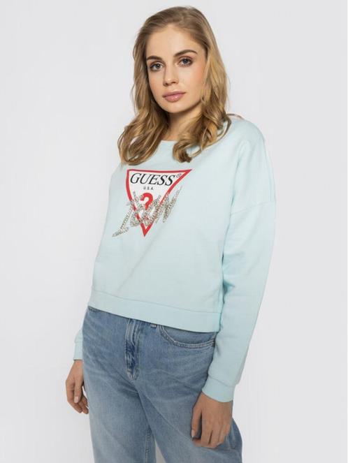 Sweater oversize van Guess, Kleding | Dames, Truien en Vesten, Nieuw, Maat 36 (S), Ophalen of Verzenden