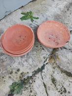 Teilen, Dieren en Toebehoren, Vogels | Duiven