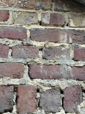 Scheldesteen beschikbaar voor biedingen