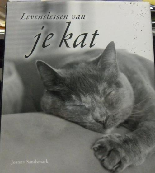 Levenslessen Van Je Kat, Joanna Sandsmark, Livres, Animaux & Animaux domestiques, Comme neuf, Chats, Enlèvement ou Envoi