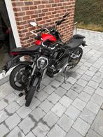 Super soco voor de kamer, Diversen, Brommobielen en Scootmobielen, Gebruikt, Ophalen, Overige merken, 16 km/u of meer