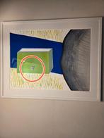 Roger Raveel Genesis, Ophalen of Verzenden