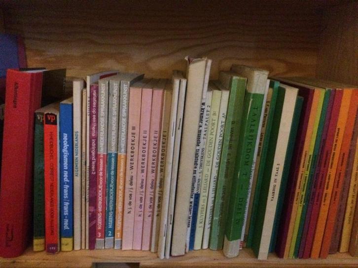 UPDATE Boekenlijst voor leraars/studenten Nederlands, Boeken, Studieboeken en Cursussen, Gelezen, Hoger Onderwijs, Ophalen of Verzenden
