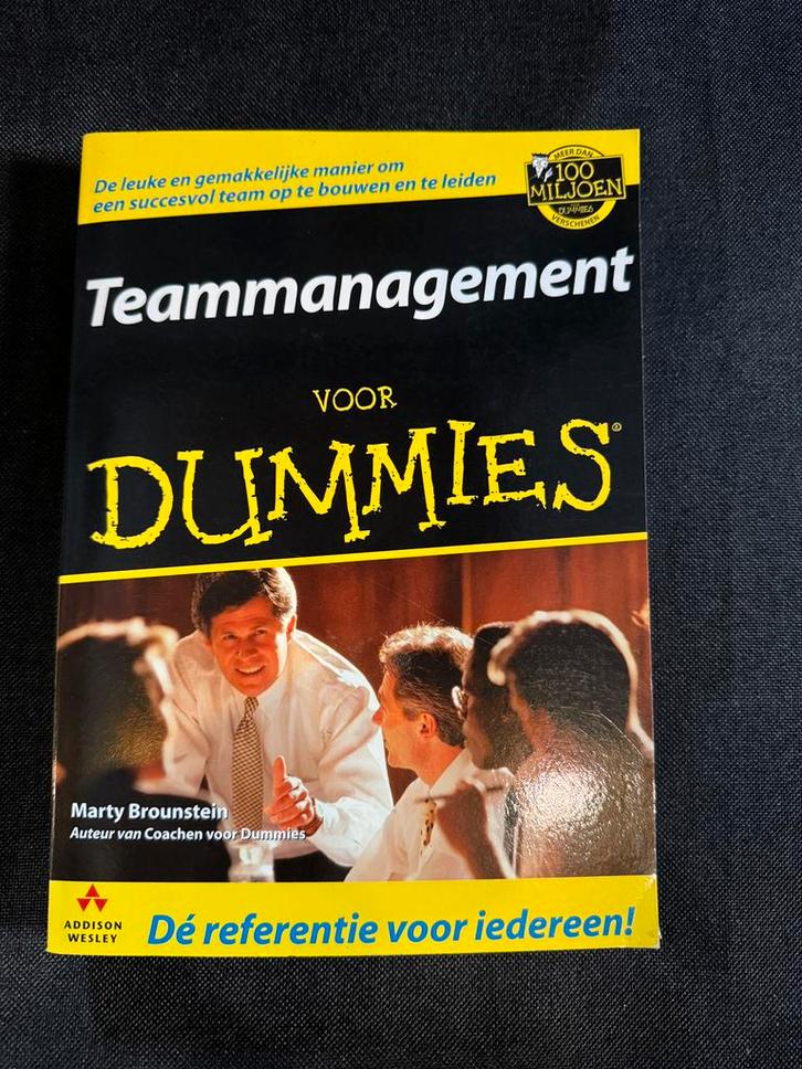Teammanagement voor Dummies, Livres, Économie, Management & Marketing, Comme neuf, Enlèvement ou Envoi