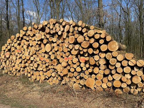2 VRACHTEN EIKENSTAMMEN | 50 STÈRE STAMHOUT, Tuin en Terras, Brandhout, Stammen, Eikenhout, 6 m³ of meer, Verzenden