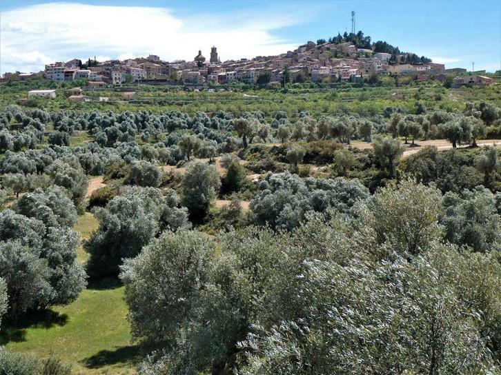 Finca à Calaceite (Aragon, Espagne) - 1082, Immo, Étranger, Espagne, Autres types, Campagne
