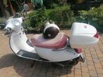 Alfa Avanti. Eerste gebruik, met papieren., Vélos & Vélomoteurs, Enlèvement, Utilisé, Classe B (45 km/h), Essence