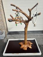 Javaboom met voet en opvangbak 1m40, Meerdere dieren, Papegaai