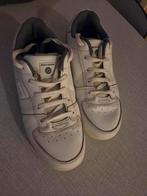Skechers "Boys Skechers" 39., Kleding | Heren, Schoenen, Ophalen of Verzenden, Zo goed als nieuw, Skechers, Wit