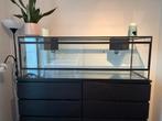 Terrarium 150 x 50 x 50, Animaux & Accessoires, Reptiles & Amphibiens | Accessoires, Enlèvement