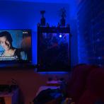 Osb3 terrarium RepHouSZ. Ook maatwerk, Dieren en Toebehoren, Reptielen en Amfibieën | Toebehoren, Ophalen, Nieuw, Terrarium of Paludarium