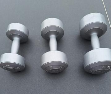 3 gewichten uit Kinépraktijk voor training van spieren. beschikbaar voor biedingen