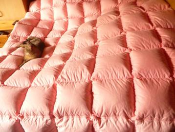 super groot donsdeken  beschikbaar voor biedingen