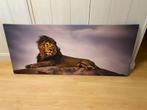 foto op canvas leeuw 60 x 140 cm, Huis en Inrichting, Ophalen, Nieuw
