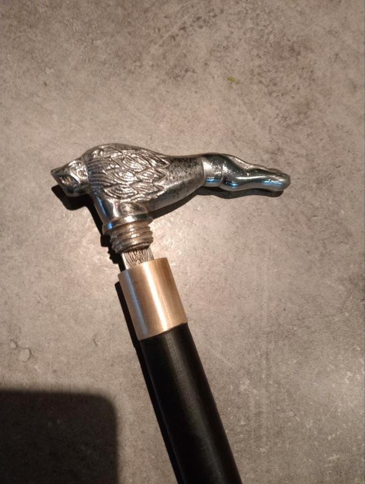 Canne lion, Divers, Bâtons de marche, Enlèvement ou Envoi