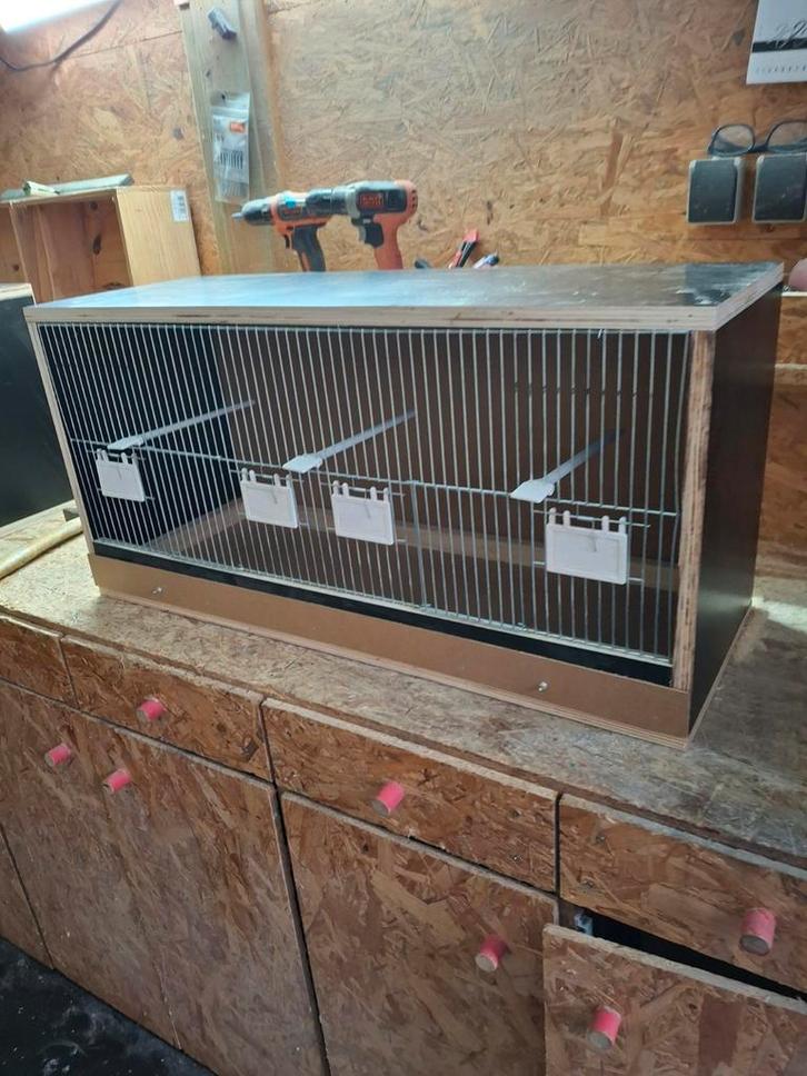 Nieuw vogelkooi, Animaux & Accessoires, Oiseaux | Cages & Volières, Neuf, Cage à oiseaux, Bois, Enlèvement