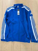Adidas Squadra 21 S Trainingsjack, Nieuw, ADIDAS, Voetbal, Maat 46 (S) of kleiner