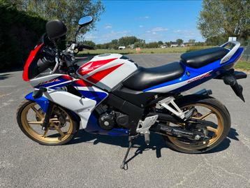 Honda CBR125R tricolor - nieuw niet ingeschreven beschikbaar voor biedingen