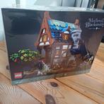 Lego medieval blacksmith 21325, Enlèvement, Neuf, Ensemble complet, Lego