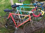 4 vintage racefietsen colnago moser guerciotti flanders, Ophalen