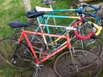 4 vélos de route vintage Colnago Moser Guerciotti Flanders, Enlèvement