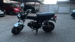 dax 70cc, Fietsen en Brommers, Brommers | Honda, Ophalen, Zo goed als nieuw