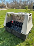 Cage de transport pour chien, Animaux & Accessoires, Boîtes de transport