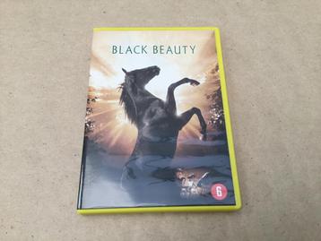 Dvd film Black Beauty beschikbaar voor biedingen