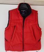 Bodywarmer👍🏻WARM👍🏻TOP👍🏻 Polo Sport 👍🏻 L, Kleding | Heren, Bodywarmers, Ophalen of Verzenden, Zo goed als nieuw, Maat 52/54 (L)