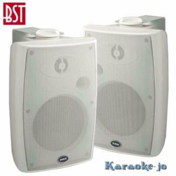 BST 370TW 100Volt Luidspreker set 2-weg 40 Watt beschikbaar voor biedingen