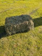 Hooi, Dieren en Toebehoren, Ophalen, Vee