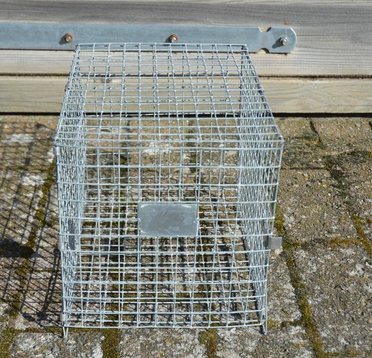 chinchilla spulletjes, Dieren en Toebehoren, Overige Dieren-accessoires, Zo goed als nieuw, Ophalen