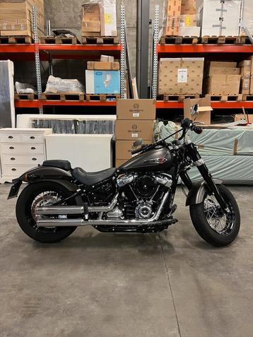 Harley-Davidson Softail Slim 2021 (107)