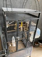 Parkietenkooi met kweekkoppeltje valparkieten, Dieren en Toebehoren, Ophalen, Zo goed als nieuw