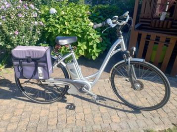 Flyer electrische fiets (2 batterijen) beschikbaar voor biedingen