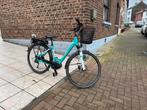 Vélo électrique Pegasus solero, Vélos & Vélomoteurs, Enlèvement ou Envoi