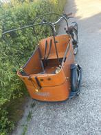 Elektrische Babboe curve bakfiets 1000€, Fietsen en Brommers, Ophalen of Verzenden, Zo goed als nieuw