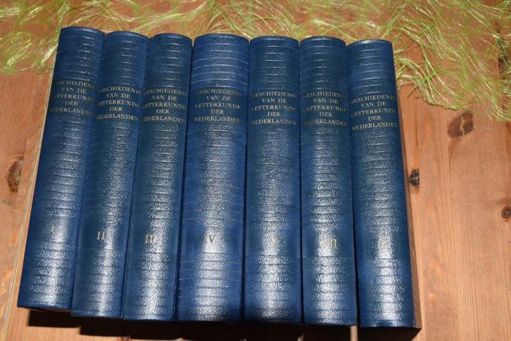 Geschiedenis van de letterkunde der Nederlanden, Antiek en Kunst, Antiek | Boeken en Manuscripten, Ophalen of Verzenden