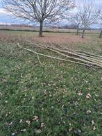 Brandhout, Tuin en Terras, Minder dan 3 m³, Ophalen, Overige houtsoorten, Takken