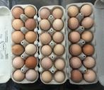 Verse scharrel eieren bio kippen  60 stuks