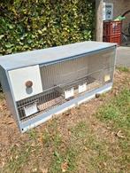 Vogel kooi, Dieren en Toebehoren, Ophalen, Zo goed als nieuw, Hout, Vogelkooi